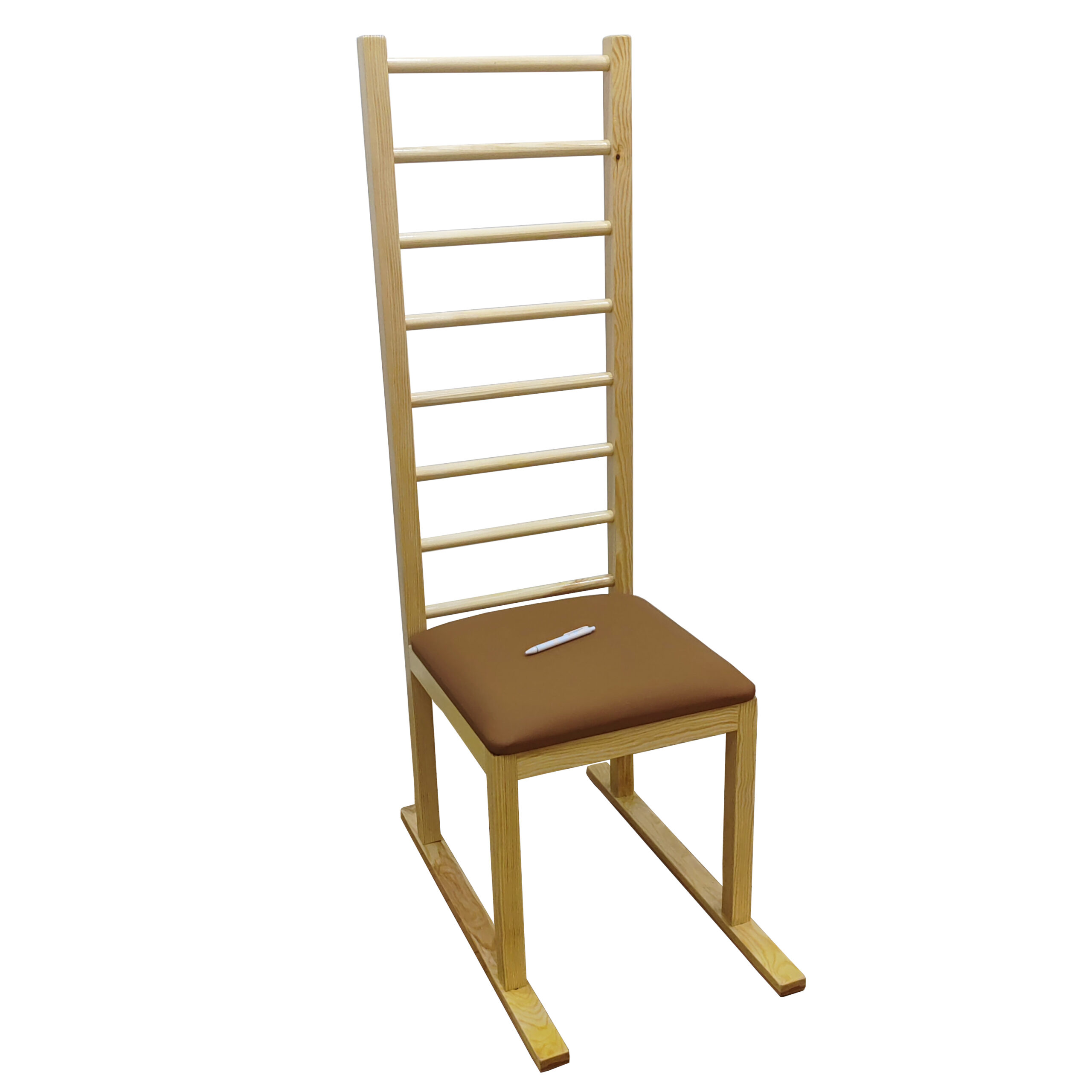 Rehabilitation Chair with Glides | Liftosium