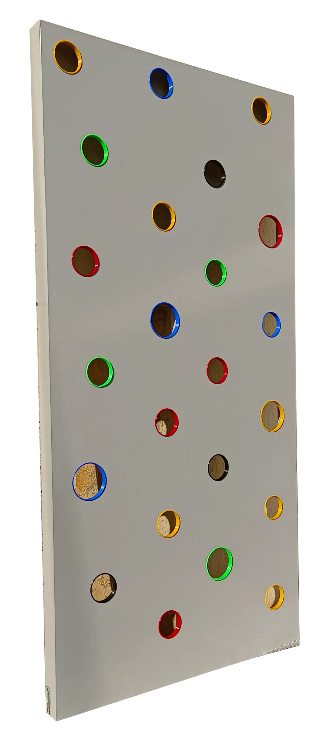 Rehabilitation Climbing Board | Liftosium